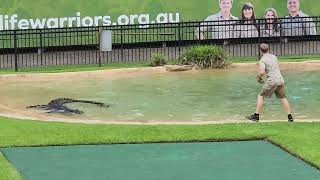 Robert Irwin Aus Zoo Crocodiles.