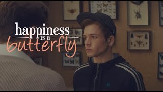 happiness is a butterfly | multifandom