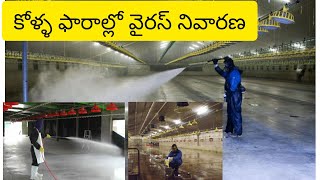 Bio-Security Measures to Prevent Viral Diseases in Poultry Farms |కోళ్ళ ఫారాల్లో వైరస్ నివారణ