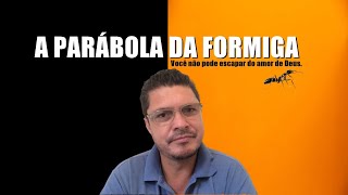 A parábola da formiga - Silvio Moraes