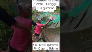 Mancing harian Gurame #pemancingangeri #pemancingangurame #mancingmania #fyp