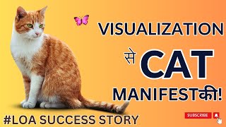 MANIFEST A Cat through Visualization 😍😍 ||#manifestation #cat #visualizationtechniques #thesecret