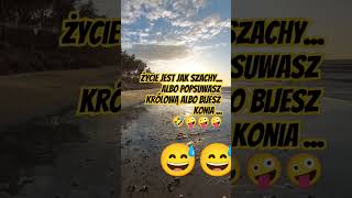 Szachy  🤣🤪😅