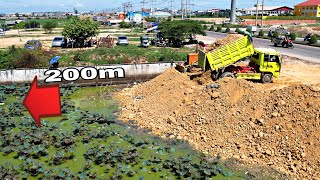 EP 2|Great Job Project By Bulldozer Pushing Stone Soil Into Water Delete Lake & Team Dump Truck 5Ton