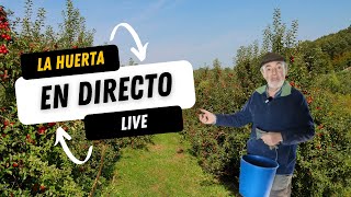 ¡Huerta en Directo - Preguntas y respuestas!