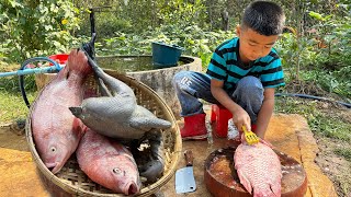 Yummy black chicken and red fish cooking - Chef Seyhak