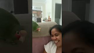 Parrot marunong magpicture 😁 #parrotlover #animallover #parrot #havingfun #funny #parrothavingfun