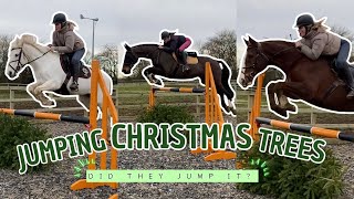 JUMPING 4 HORSES OVER CHRISTMAS TREES | Did They Go Straight Over It😨