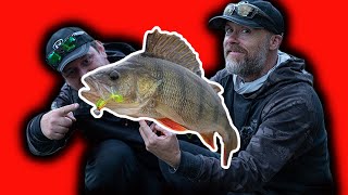 Canal Perch Fishing with Micro Jigs | Loser buys dinner!