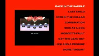 Aerosmith Back In The Saddle / Rocks DVD