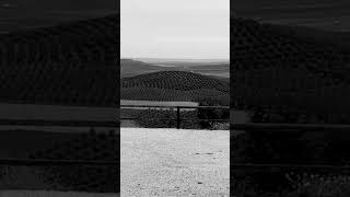 Cerro Pedro Díaz. Viento,  llovizna y melancolía. Montalbán, Córdoba, España.