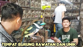 TEMPAT BURUNG RAWATAN DAN UNIK