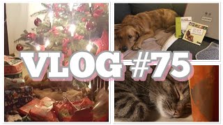 VLOG #75 / Weihnachten🎄 / Wellie-Geschenk😍 / Gewinner-BELSO🎉