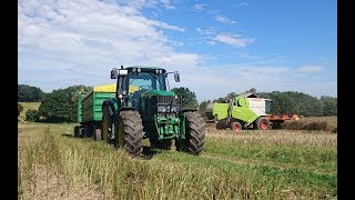 Raps & Gerste dreschen 2017 | Claas, MF... | Sommer 2017 | [1080p]