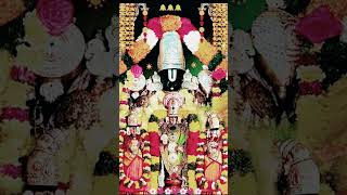 #venkateswara #balaji #వెంకటేశ్వరస్వామి  #swamy #tirupati #bhakti #song #short #shorts #షార్ట్స్ #ve