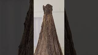 tree dress #dress #art #artwork #nature #natureart #sculpture #dressdesign