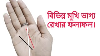 বিভিন্নমুখী ভাগ্য রেখার ফলাফল। The result of the different destiny line.