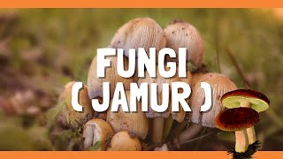 Fungi (Jamur) | Sekolah Menengah Atas | Video Pembelajaran | A031