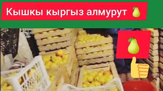 "Кышкы кыргыз алмурутун" өстүрүү да жакшы киреше берет."-дейт  агай.