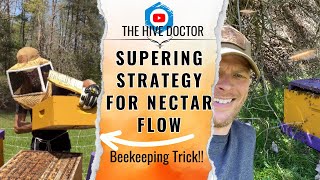 Supering Trick for the Nectar Flow//Flow Pro Tip to Get new Frames drawn out with Comb Faster!!