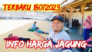 INFO HARGA JAGUNG 2023