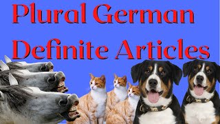 German definite plural articles / all four cases / follow-up video for singular definite articles