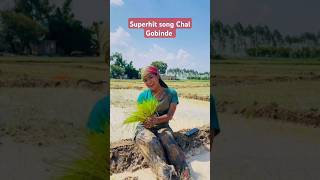 Superhit song chal gobinde #kalejwalihai #jharanabohara suresh shahi #short #shortvideo #trending