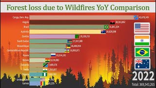 Forest burnt by Wildfires by Countries (2012-2024)