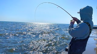 Pier Fishing Lake Michigan GIANTS! (Jigging)