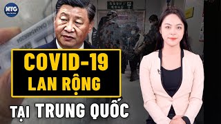 Tối 13/08: Dịch COVID-19 lan rộng tại TQ; ông Trump nói “rất thích” nếu Elon Musk tham gia chính phủ