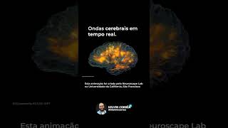 Entender esse órgão curioso e complexo é o início de toda mudança! #neurociência