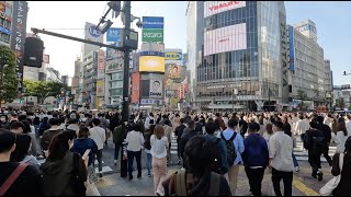 Shibuya Without Foreign Tourists. How Crowded Is It?