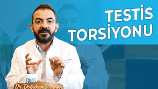 Testis Torsiyonu Nedir? | Belirtileri Nedir? | Çocuklarda Testis Torsiyonu