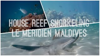 House Reef Snorkeling - Le Meridien Maldives Resort & Spa