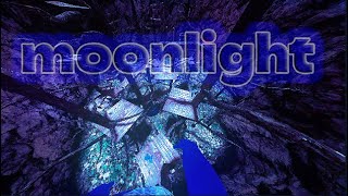 Moonlight (A Gorilla Tag Montage)