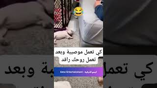 تظاهر أنّه نائم لكي لا يعاقبه صاحبه...#shorts