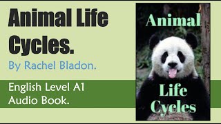 Animal Life Cycles - Rachel Bladon - English Audiobook Level A1