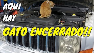 Mi Auto 🚗 Se VUELVE LOCO POR MOMENTOS!!!   ATENCION A ESTE DETALLE😲💥⚡