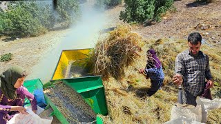 Harvesting Bounty: Mirza's Journey in Nature's Embrace | A Inspiring Documentary