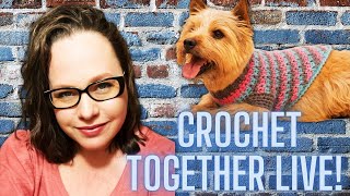 Let's Crochet Together!  Beginner Crochet Group | Social Crochet Event | Crocheted Dog Sweater