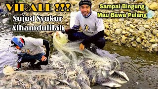 VIRALL‼️SUJUD SYUKUR,JALA IKAN SEKALI TEBAR BINGUNG MAU BAWA PULANG TEPAT DI KAWANAN NILA BABON