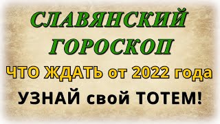 Славянский Тотемный Гороскоп 2022 года: оказывается год не Тигра — вот так поворот