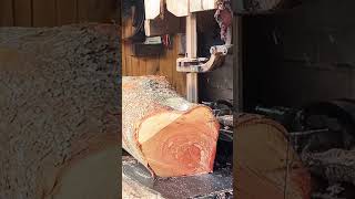 Super Tajam gergaji bandsaw ini merajang kayu Wadang