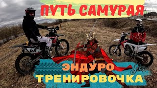 Путь Самурая / Эндуро тренировка, едем бревна / ВЭНДУРО КОТЛАС / BSE ZUUM YAMAHA WR250 BSE Z7