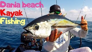 This things are always FUN to catch, Dania beach offshore kayak fishing!