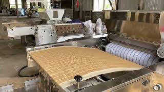 Cold Pressed Pet Food Machine| cold press machine|What Is Cold Pressed Pet Food？