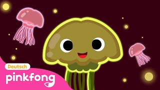 Qualle | Pinkfong Meerestiere-Lieder | Baby Shark Deutsch | Pinkfong, Baby Hai! Kinderlieder