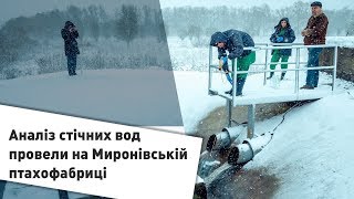 Аналіз стічних вод провели на Миронівській птахофабриці