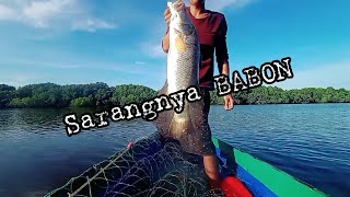 JACKPOT...‼️BARRAMUNDI SUPER BABON