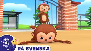 Fem söta apor | Little Baby Bum Svenska | Barnvisor